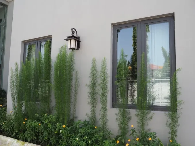 A dark framed aluminium window set into a rendered exterior wall